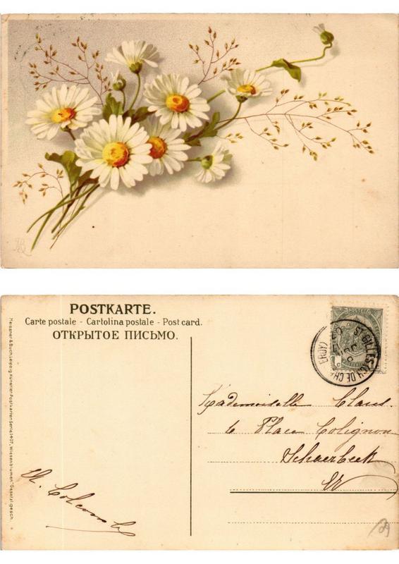 CPA AK Wiesenblumen Meissner & Buch Litho Serie 1407 (730507)