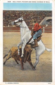 Bull Fight, Picasdor and Horse Charged by Bull, C. Juarez Mexico Bullfighting...