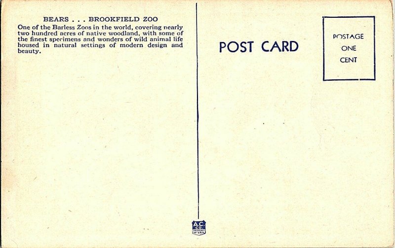 Bears Brookfield Zoo Chicago Illinois Vintage Postcard Standard View Card