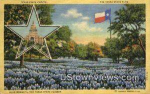 Texas State Capitol - Houston