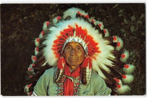 DANIEL HORNBUCKLE Cherokee, NC Native American Indian Cline 1958 Postcard