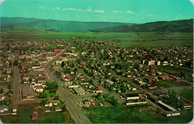 Vtg Chrome Postcard Grangeville ID Idaho Bird's Eye View idaho County UNP