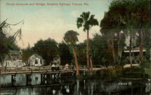 Tampa FL Sulphur Springs c1910 Postcard