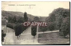 Old Postcard The Promenade Thunder Caught in theft & # 39oiseau