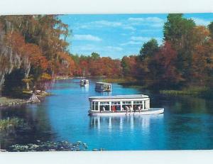 Pre-1980 SILVER SPRINGS SCENE Ocala Florida FL AF9823