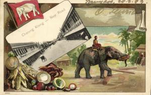 siam thailand, BANGKOK, Charung Krung, New Road, Working Elephant, Flag (1903)