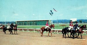 Vintage Cleveland's Smart Mile Track Randall Park, OH Postcard P170