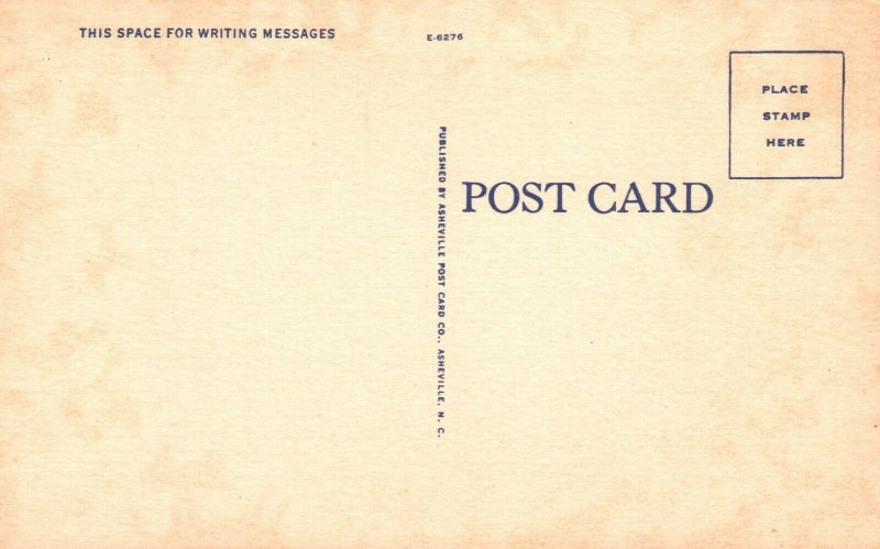 Vintage Postcard 1930's The Legend of the Dogwood  Pub. Asheville