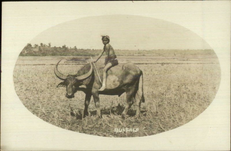 Native Boy Riding Water Buffalo Ethnic Netherlands Cancel Real Photo Postcard