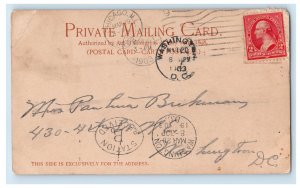 1903 The Heart of Chicago Illinois IL Washington DC PMC Posteed Postcard 