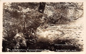 Roaring Branch Camps - Arlington, Vermont VT Postcard