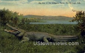 Big Joe, Alligator Farm - Hot Springs, Arkansas AR