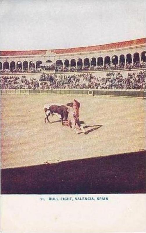 Spain Valencia Bull Fight