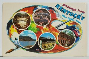 Kentucky Painters Palette Greetings Postcard N1