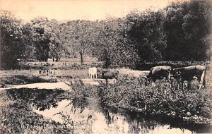 Pleasant Pastures Livingston Manor Swimming Pool New York  