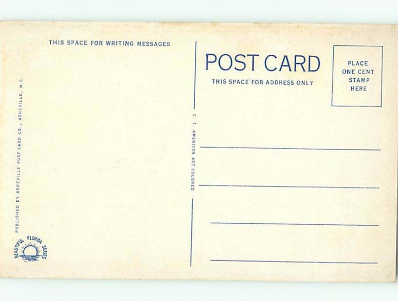 W-border PANORAMIC VIEW St. Petersburg Florida FL AF0693