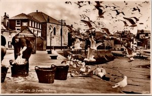 Vtg St Ives Harbour Seagulls Cornwall England United Kingdom UK RPPC Postcard