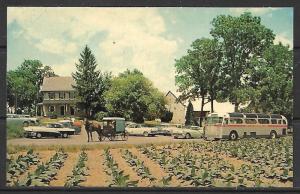 Pennsylvania, Lancaster - Amish Farm & House - [PA-067]