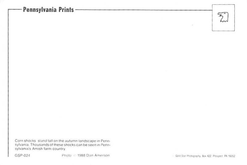 Pennsylvania - Corn Shocks