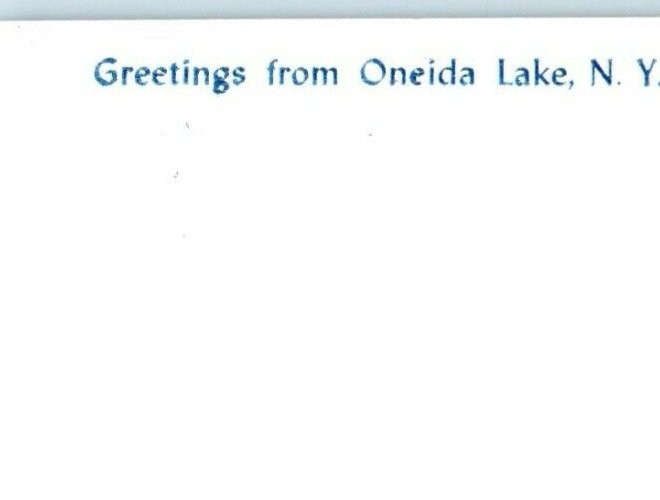 c1960's Greetings From Oneida New York NY Surf Bathing Postcard 