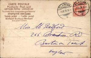 Fantasy Surrealism Monkey Waiter in Restaurant c1910 Vintage Postcard