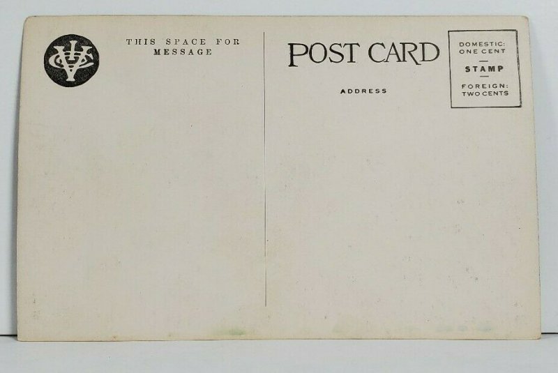 Texas Long Horn Steer Width 9 ft 6 in Postcard N1