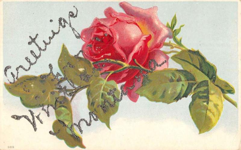 Whitehall Montana Rose Flower Greeting Antique Postcard K86051