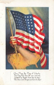 340263-Patriotic, Arm Raising Flag from the United States Map, Flag Series No 4