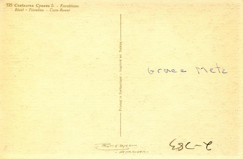 Flowers -   Corn Flower            (Thor & Gyger #725)