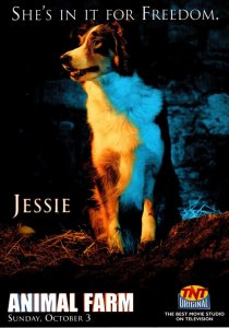 TV Series Animal Farm Jessie She's In It For The Freedom