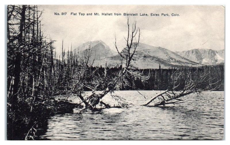 Early 1900s Flat Top and Mt. Hallett from Bierstadt Lake, Estes Park CO Postcard