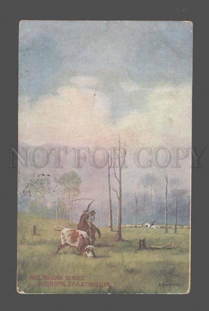 084173 Australian rounding up straggler by Macinnes Vintage PC