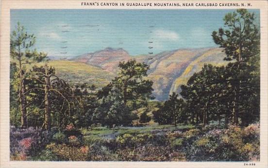 New Mexico Carlsbad Caverns Franks Canyon In Guadalupe Mountains 1937