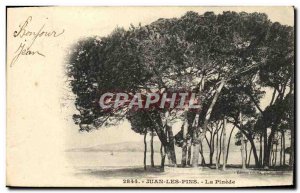 Old Postcard Juan les Pins Pinede