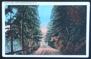 Greetings from Monticello NY 106654