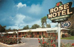 WINTER HAVEN, Florida FL   ROSE MOTEL~John Wingate  ROADSIDE  ca1950's Postcard