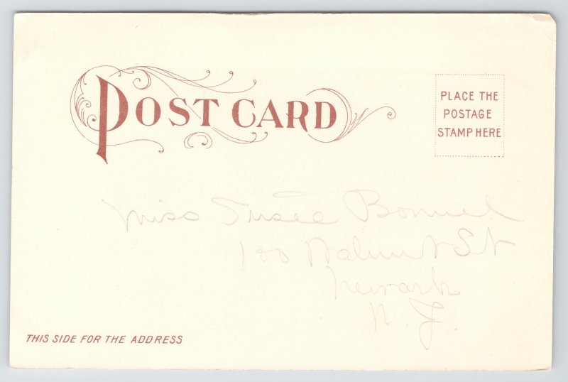 State View~Air View Niagara Falls & Prospect Point~Vintage Postcard