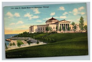 Vintage 1940's Postcard John G. Shedd Memorial Aquarium Chicago Illinois