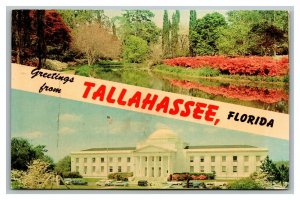 Vintage 1966 Postcard Greetings From Tallahassee Florida - State Capitol