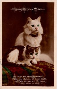 Cats Loving Birthday Wishes 1926