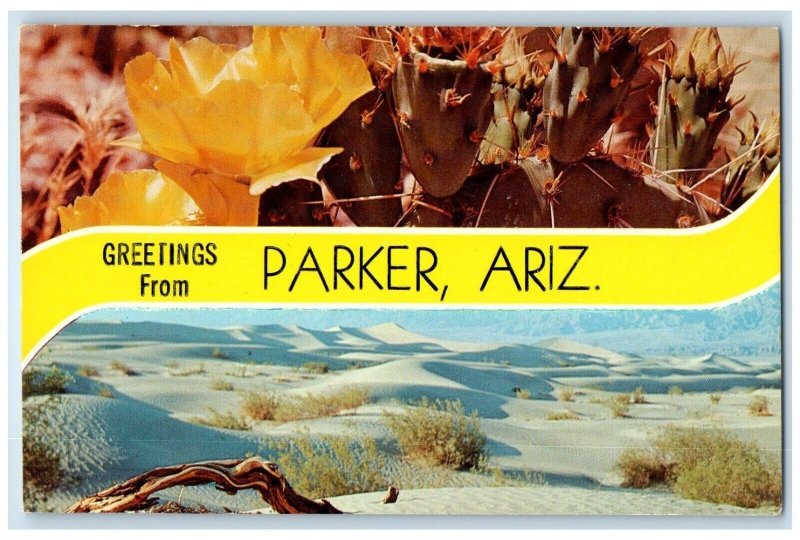 c1950's Greeting From Parker Arizona AZ Dual View Unposted Vintage Postcard