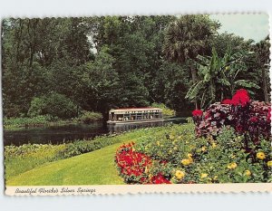 Postcard Beautiful Florida's Silver Springs, Florida