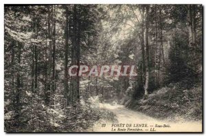 Old Postcard Forest Tree Slow Undergrowth The forestry road