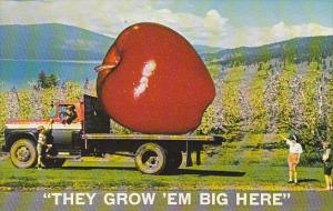 Canada Huge Apple On Back Of Truck Greetings From The Okanagan Valley British...