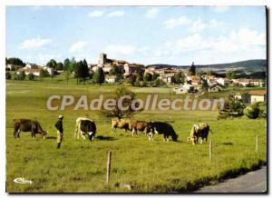 Postcard Modern Fournols Auvergne Puy de Dome Fishing Mushrooms Foret general...