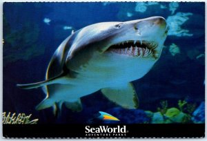 Postcard - Sharks, Terrors Of The Deep, SeaWorld Adventure Parks