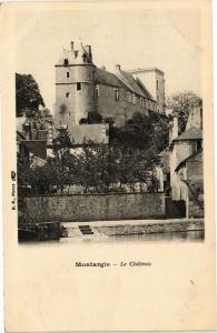 CPA MONTARGIS-Le Chateau (185244)