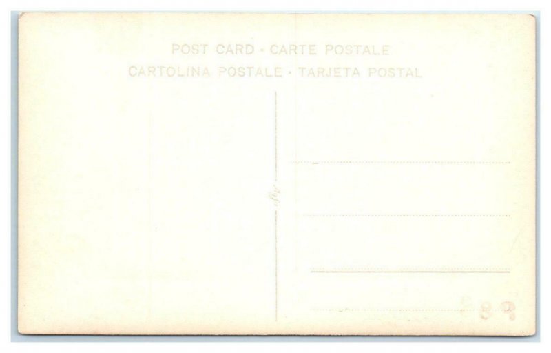 RPPC TAXCO, Guerrero,  Mexico ~ HOTEL TAXQUENO c1930s  Postcard