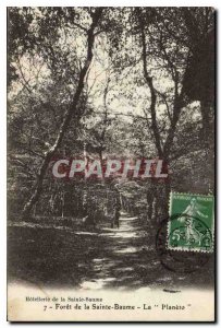 Old Postcard Foret La Sainte Baume Planeto