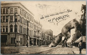 MANKATO MN FRONT STREET EXAGGERATED FOX ANTIQUE REAL PHOTO POSTCARD RPPC